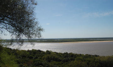Análisis ambientales