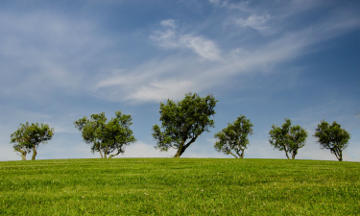 Laboratorio CIC - Análisis ambientales