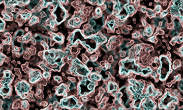 Laboratorio CIC - Análisis bacteriológicos