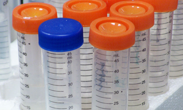 Laboratorio CIC - Análisis farmacéuticos